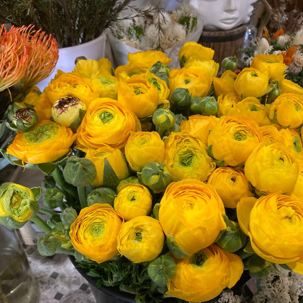 Aux Caprices des Fleurs 1